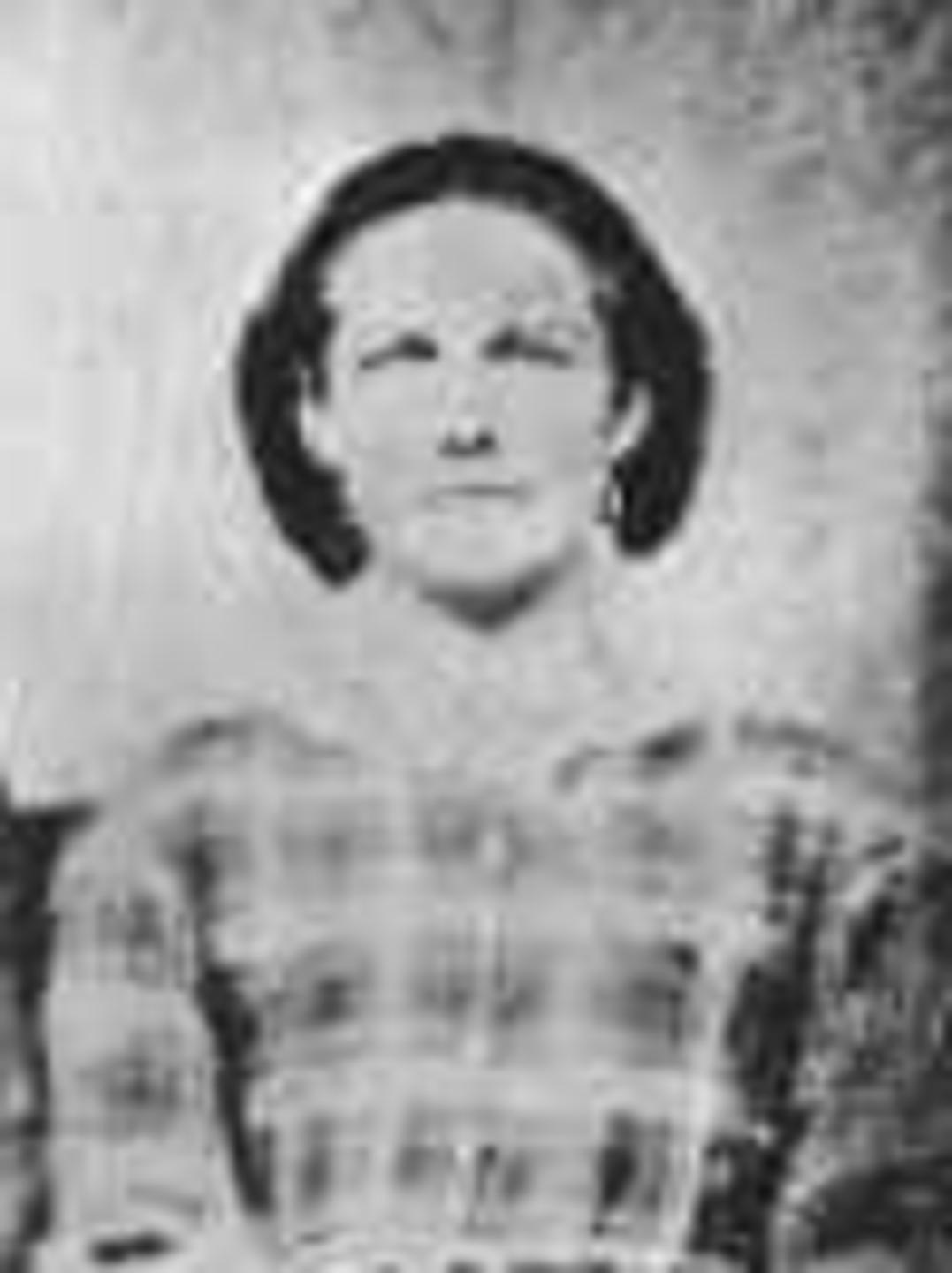 Mary Dorcas Warren (1833 - 1855) Profile